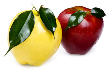 Similar image 416135