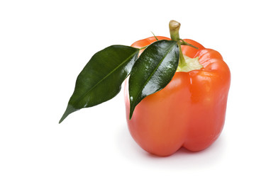 Similar image 416151