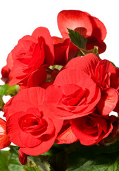 Similar image 416173