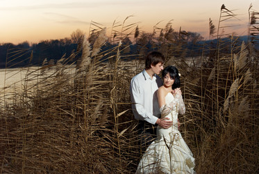 Similar image 416291