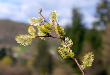 Similar image 416302