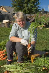 Similar image 416388