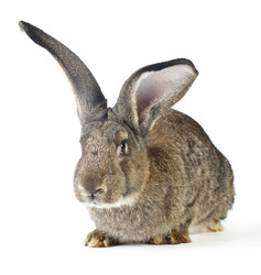 Similar image 416500