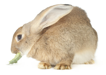 Similar image 416504