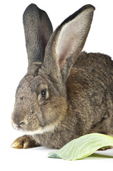 Similar image 416506