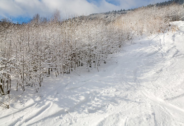 Similar image 416518