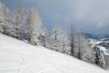 Similar image 416520