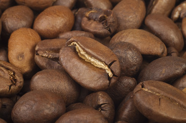 Similar image 416525