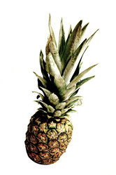 Similar image 416536