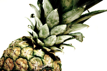 Similar image 416537