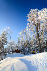 Similar image 416540