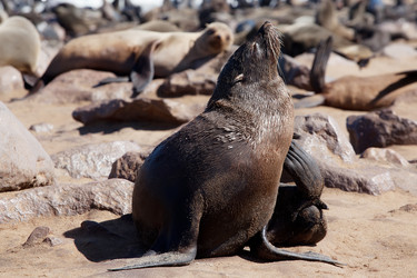 Similar image 416552