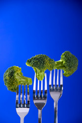 Similar image 416559