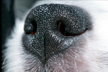 Similar image 416574