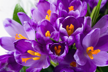 Similar image 416600