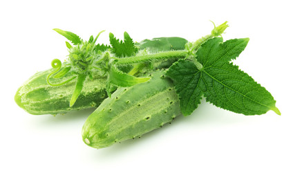 Similar image 416648