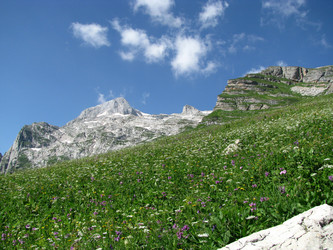 Similar image 416694