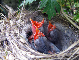 Similar image 416703