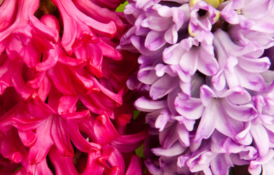 Similar image 416711