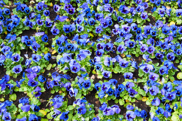 Similar image 416713