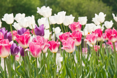 Similar image 416715