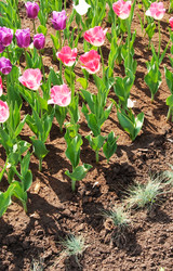 Similar image 416716