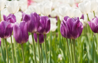 Similar image 416717