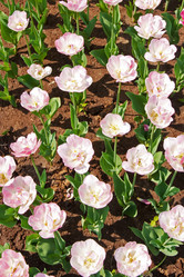 Similar image 416718