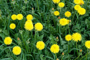 Similar image 416721