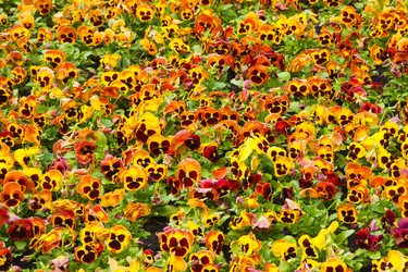 Similar image 416722