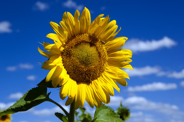 Similar image 416755