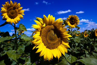 Similar image 416756