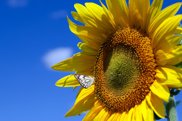 Similar image 416757