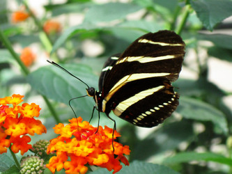 Similar image 416773