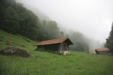 Similar image 416777