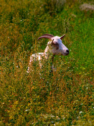 Similar image 416780