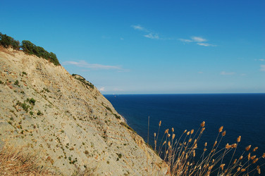 Similar image 416783