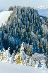 Similar image 416811