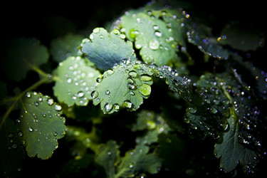 Similar image 416817