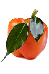 Similar image 416824