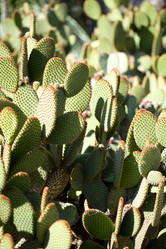 Similar image 416833