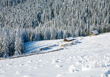 Similar image 416836