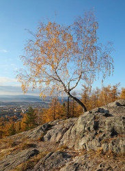 Similar image 416860