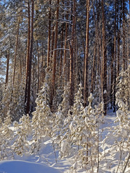 Similar image 416874