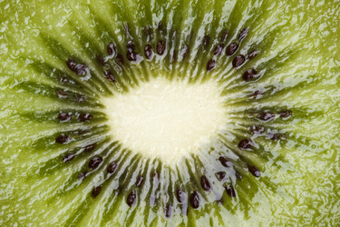 Similar image 416877