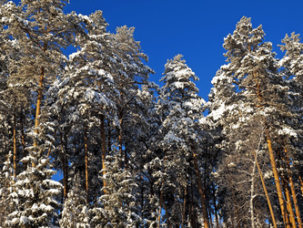 Similar image 416878