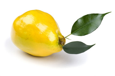 Similar image 416948