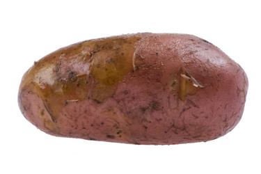 Similar image 416964