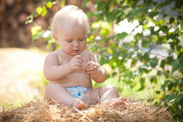 Similar image 416977