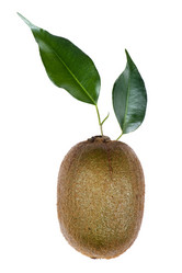 Similar image 417042